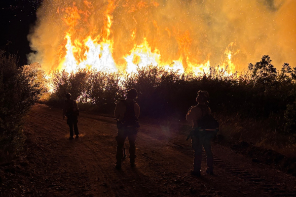 Image of firefighters standing in front of a wall of flames at night